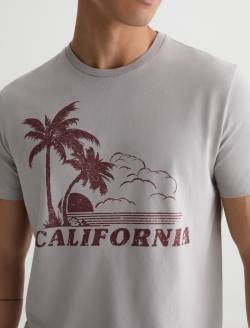 Bryce Crew Sand And Sun Silver Grey Classic Tee MENS TOPS Photo 3