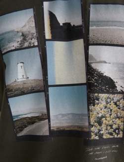 Bryce Crew Cali Film Forest Moss Classic Tee MENS TOPS Photo 6