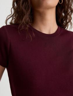 Sadie Crew Jazz Berry 90's Vintage Crop Tee WOMENS TOPS Photo 3